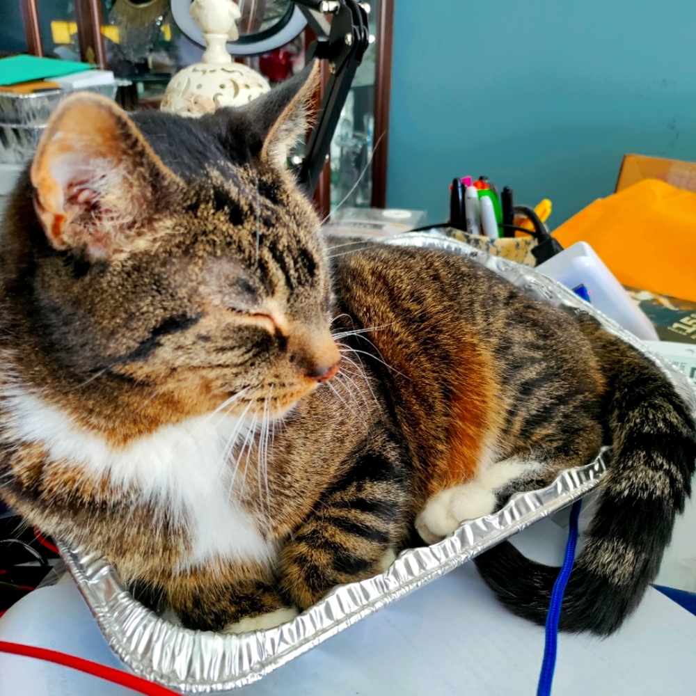 Meet your Posher, Mrlister.